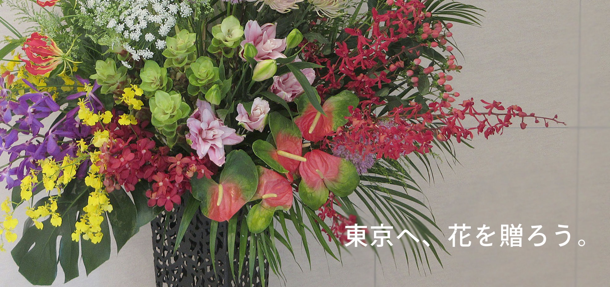 東京祝花 開店 開業 移転祝いに贈るスタンド花 胡蝶蘭 観葉植物 開店祝い 開業祝い リニューアル