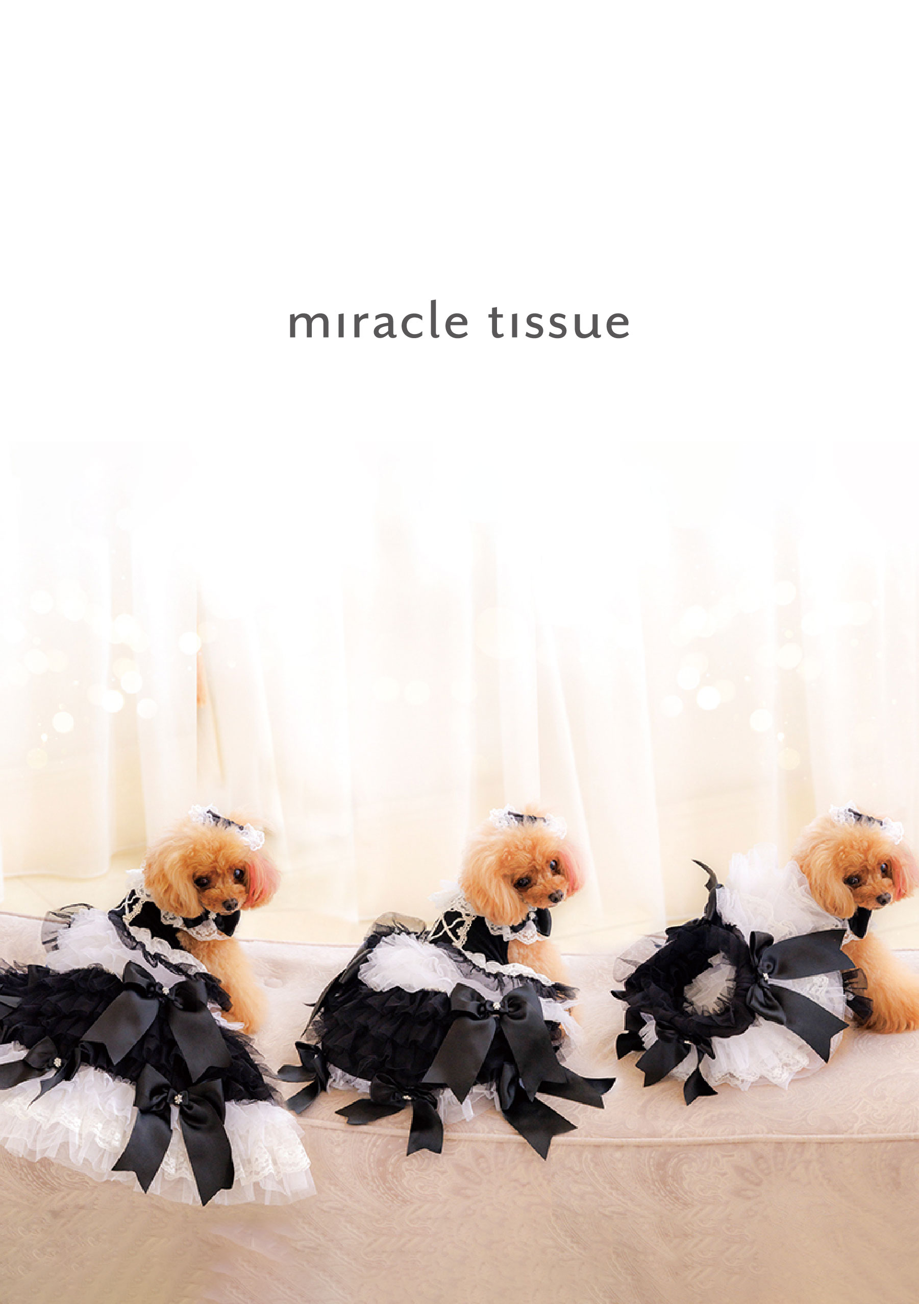 mimimerry,ミミーメリー,tissue,miracletissue,テッシュ,ミラクルテッシュ